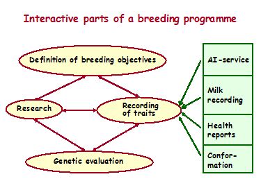 The Breeding Program Ch. 01 .